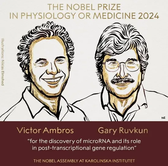 2024年諾貝爾生理學或醫學獎獲獎者，Victor Ambros和Gary Ruvkun
