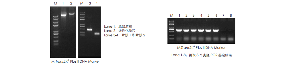 客戶(hù)反饋數(shù)據(jù)